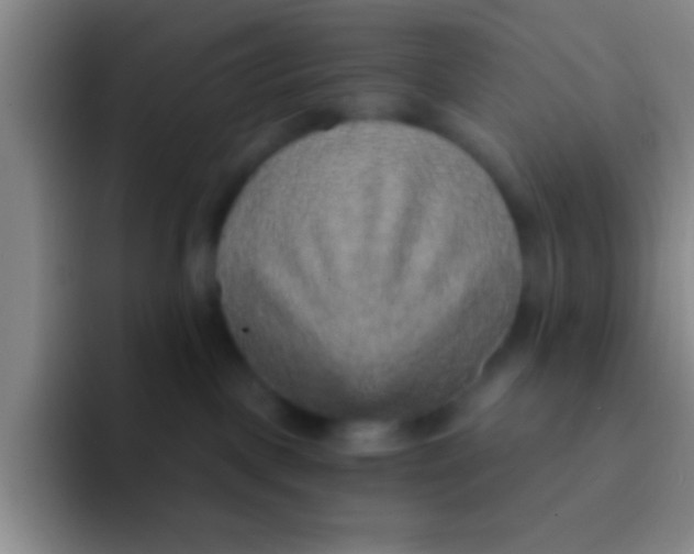 X0000092040093200709261958