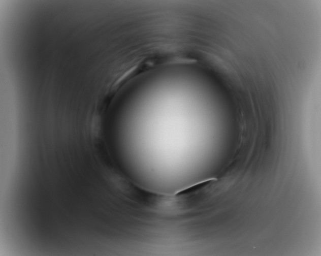 X0000092040096200709261958