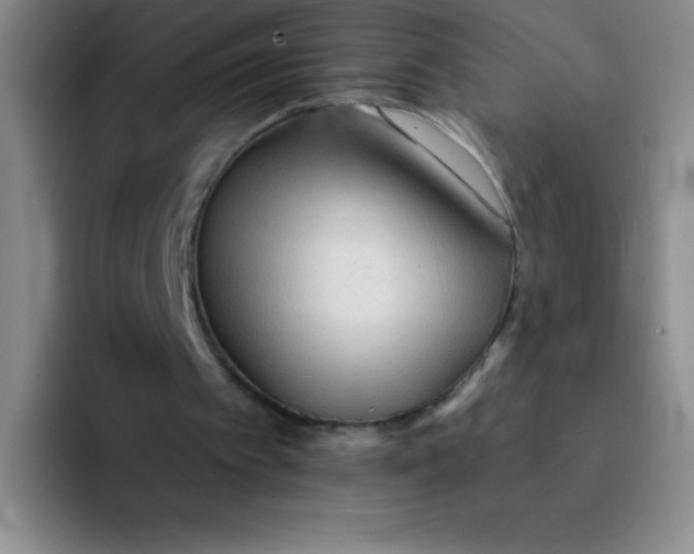 X0000092040097200709261958