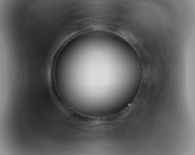 X0000092040098200709261958