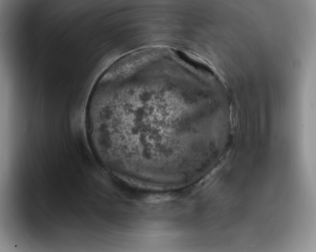 X0000092040099200709261958