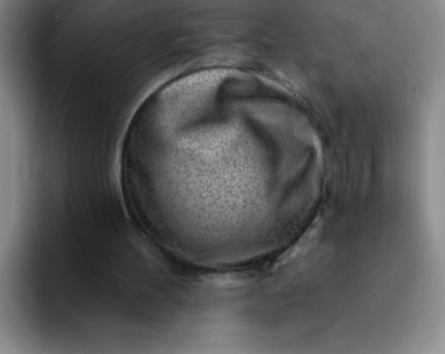 X0000092040100200709261958