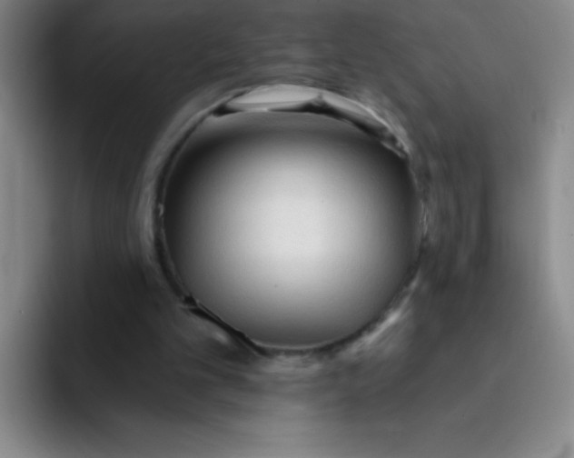 X0000092040101200709261958