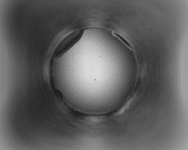 X0000092040103200709261958