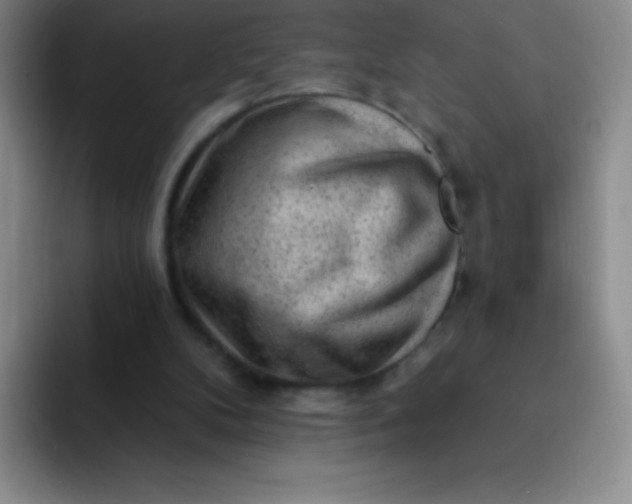 X0000092040104200709261958