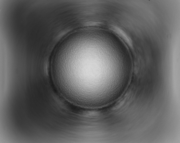 X0000092040107200709261958