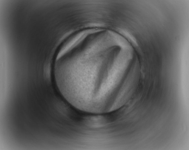 X0000092040108200709261958