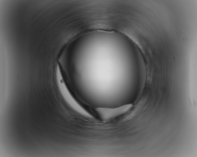 X0000092040109200709261958