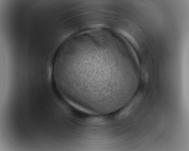 X0000092040110200709261958