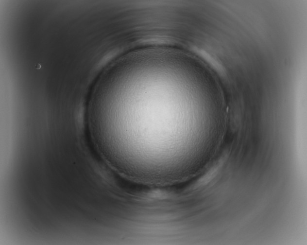 X0000092040111200709261958