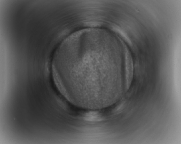 X0000092040114200709261958