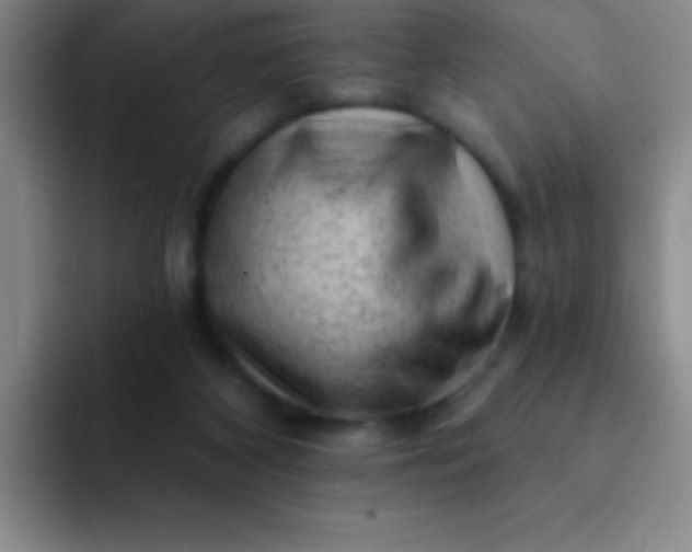 X0000092040116200709261958