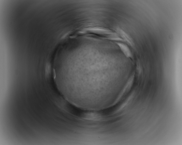 X0000092040117200709261958