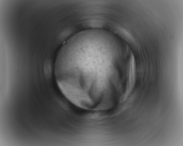 X0000092040120200709261957