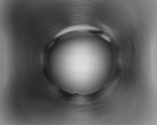 X0000092040121200709261957