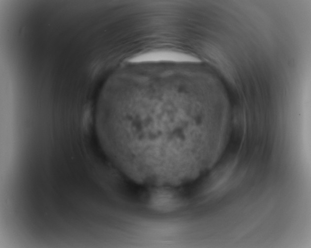 X0000092040127200709261957