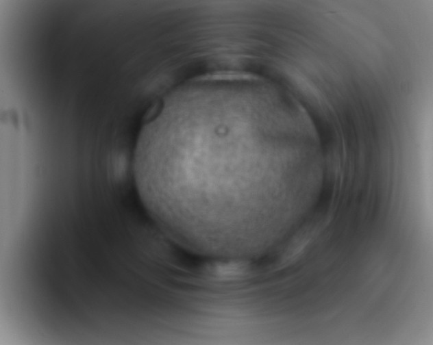 X0000092040134200709261957