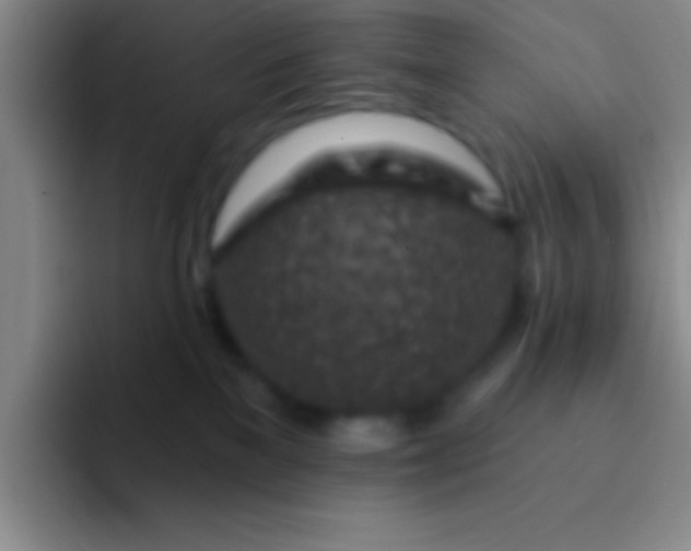 X0000092040137200709261957