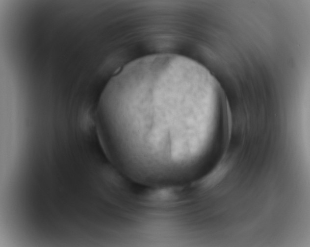 X0000092040140200709261957