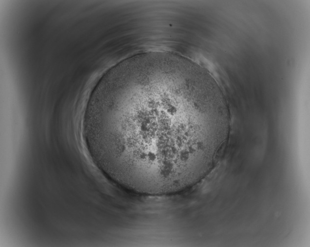 X0000092040145200709261957