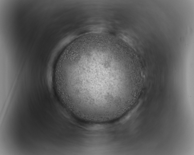 X0000092040149200709261957