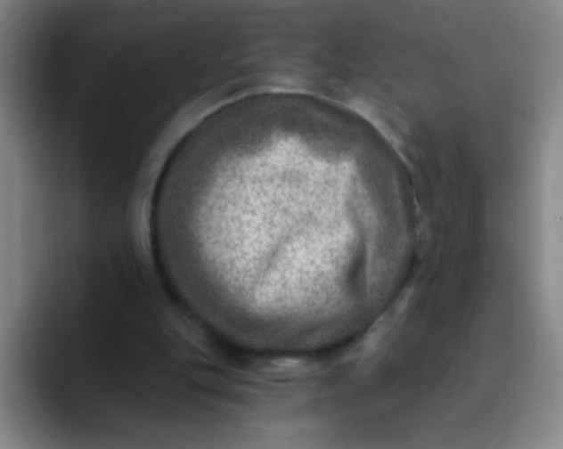 X0000092040151200709261957