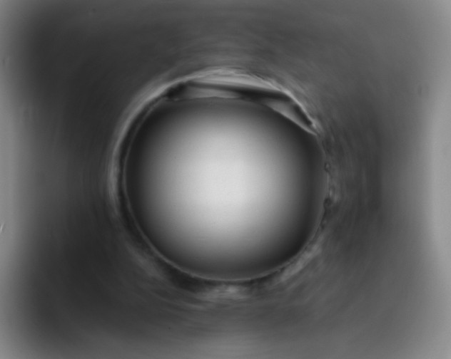 X0000092040152200709261957