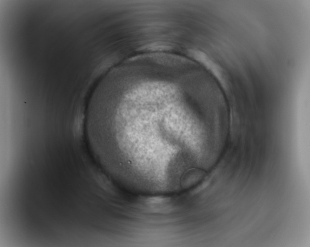 X0000092040153200709261957