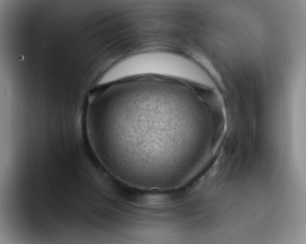 X0000092040154200709261957