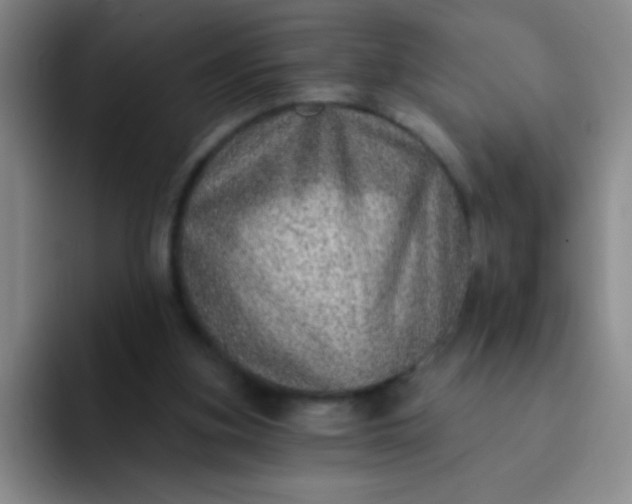 X0000092040155200709261957