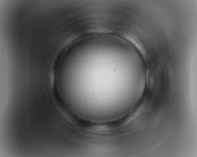 X0000092040157200709261957