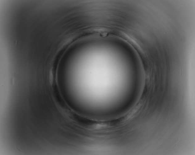 X0000092040158200709261957