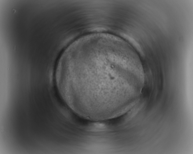 X0000092040159200709261957