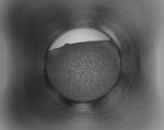 X0000092040161200709261957