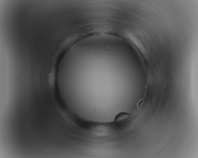 X0000092040163200709261957