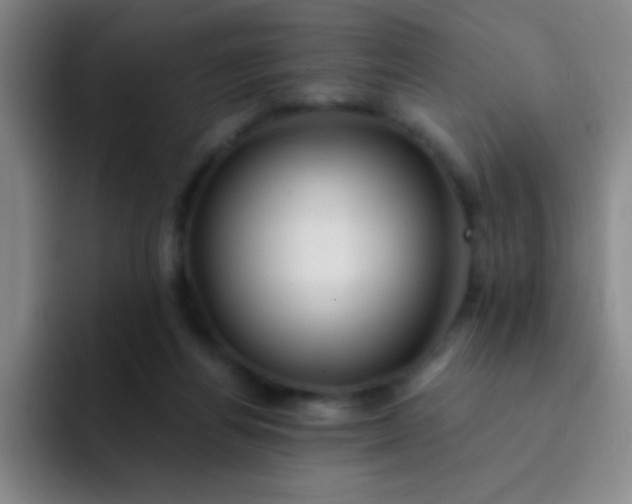 X0000092040164200709261957