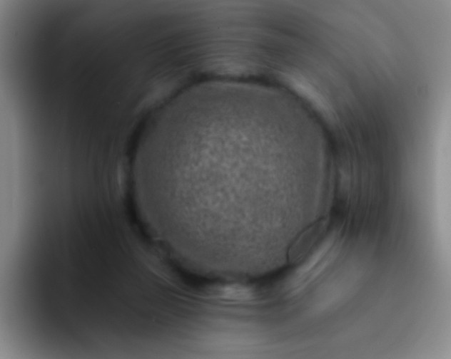 X0000092040165200709261957