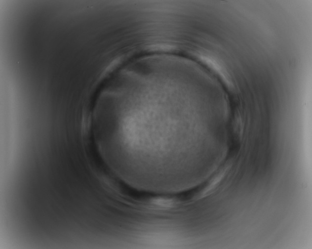 X0000092040168200709261957