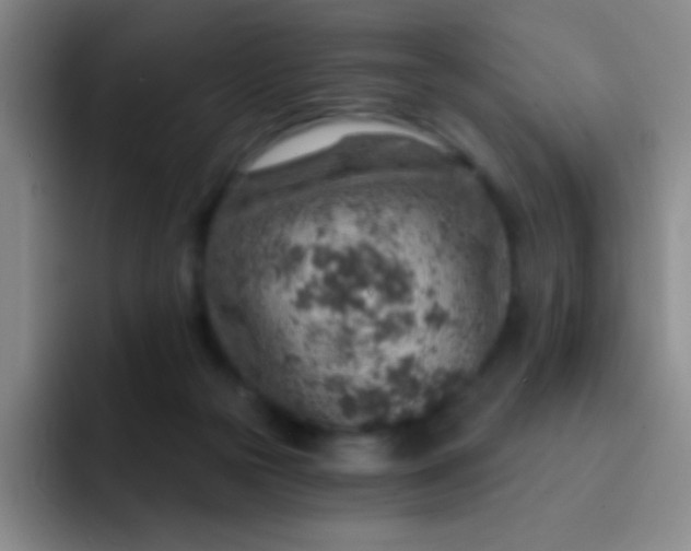 X0000092040169200709261957