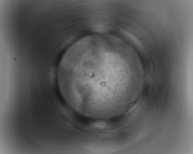 X0000092040171200709261957