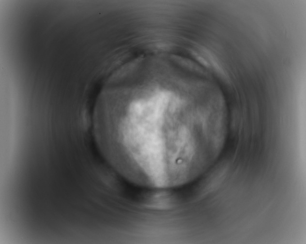 X0000092040173200709261957