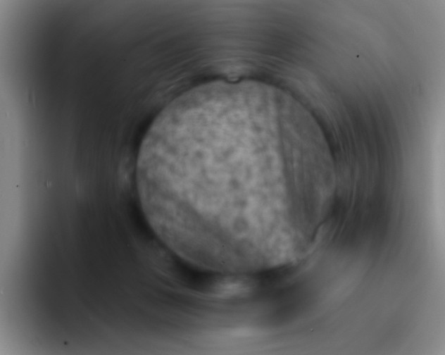 X0000092040175200709261957