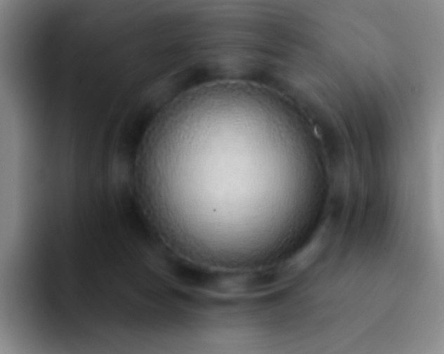 X0000092040178200709261957