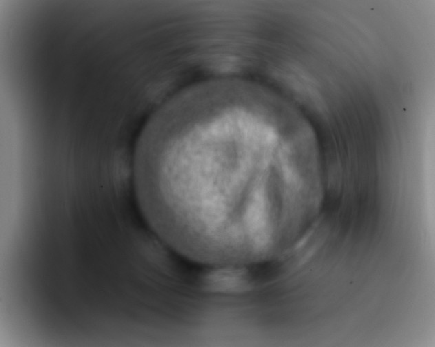 X0000092040179200709261957