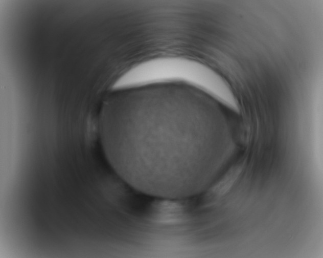 X0000092040180200709261957