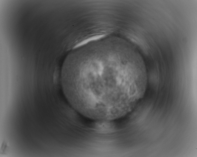 X0000092040181200709261957