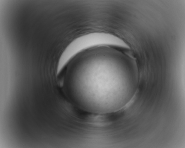 X0000092040186200709261957