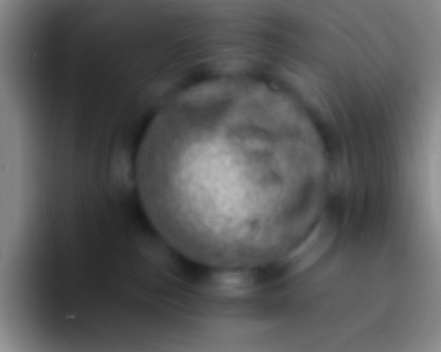 X0000092040187200709261957