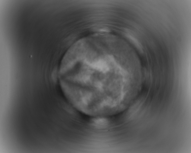 X0000092040189200709261957