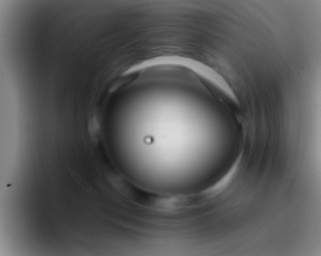 X0000092040190200709261957